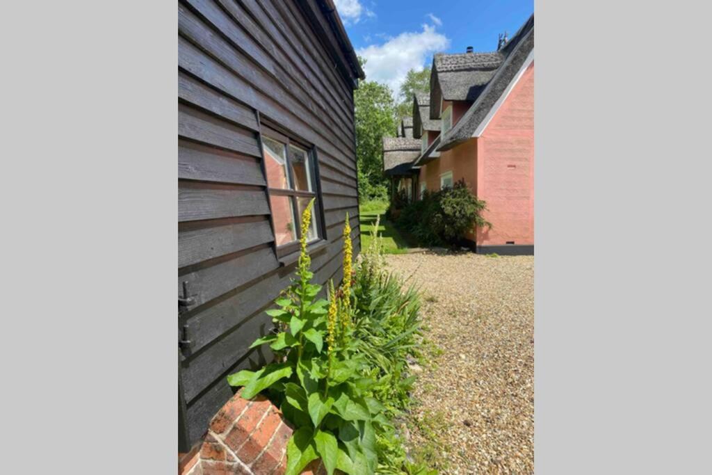 Gorgeous Comfortable Barn With Huge Private Orchard In Quiet Suffolk Location Depden Εξωτερικό φωτογραφία